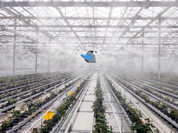best-misting-systems-for-greenhouses